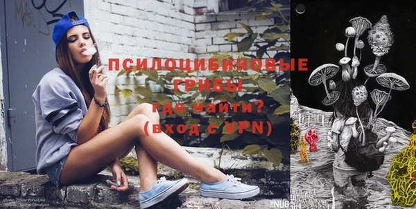 МДПВ Алексеевка