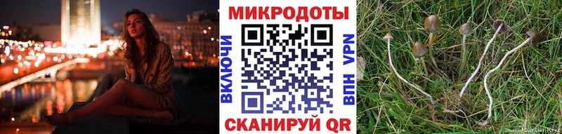 Псилоцибиновые грибы ЛСД  Ефремов 