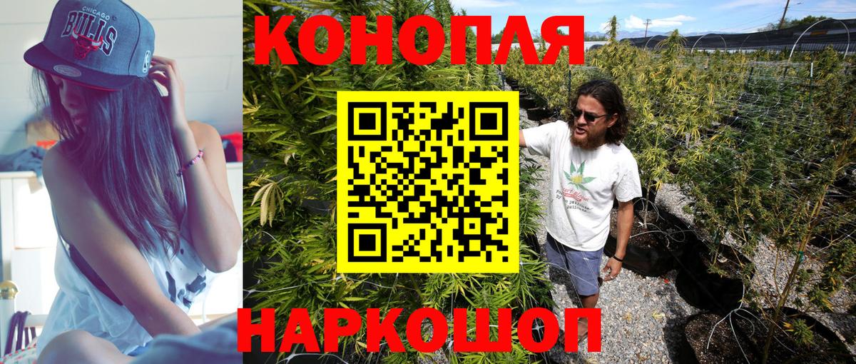 Каннабис план Ефремов